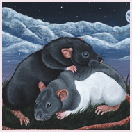 Moonlight Rat Canvas Painting